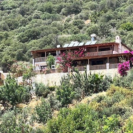 Istlada Tas Ev Apart - Kekova View Kapakli Экстерьер фото