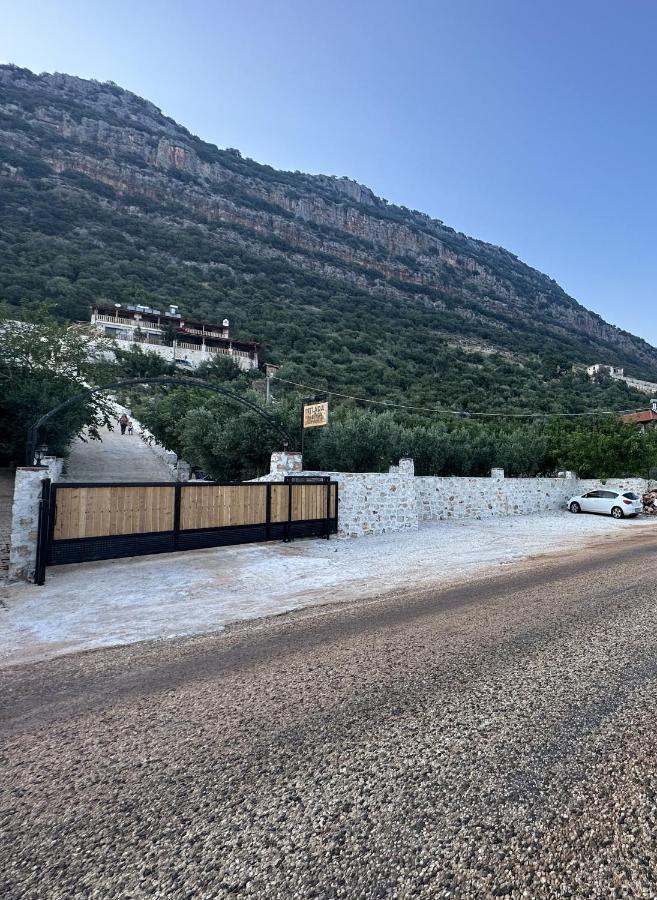 Istlada Tas Ev Apart - Kekova View Kapakli Экстерьер фото